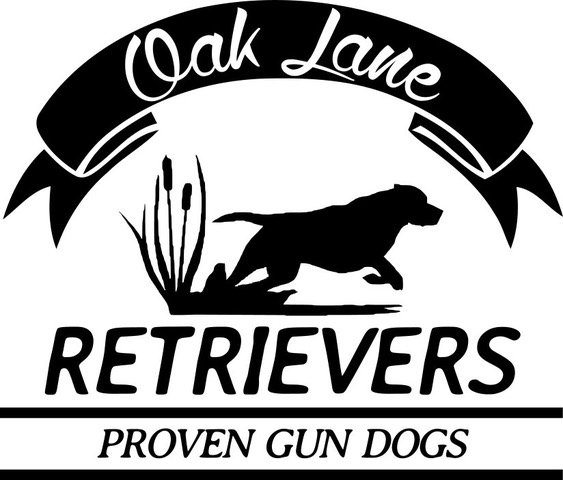 Oak Lane Retrievers