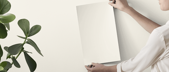 sw westhighland white samplize samples