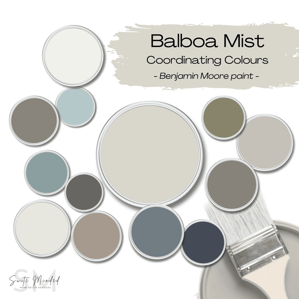 Paint Colour Review: Balboa Mist by Benjamin Moore — Suite Minded