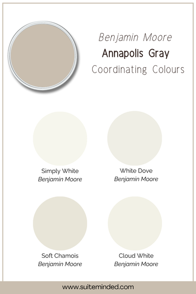 white paint colour with bm annapolis gray