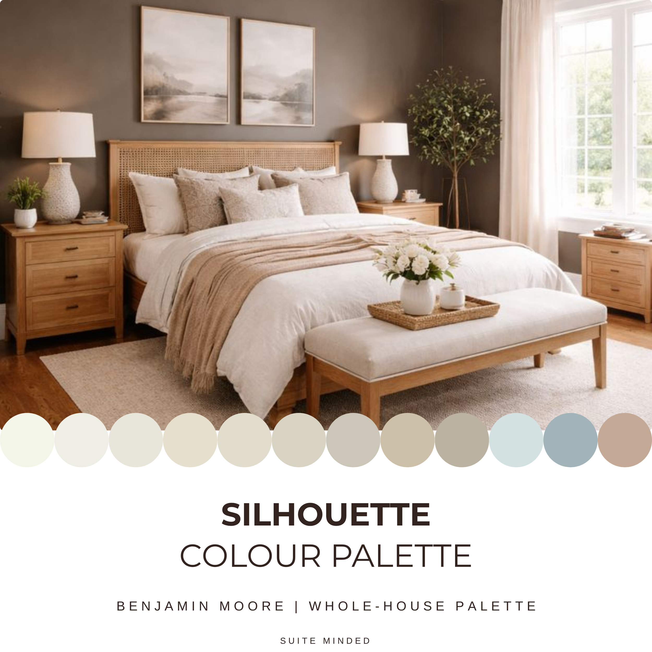 Silhouette Colour Palette