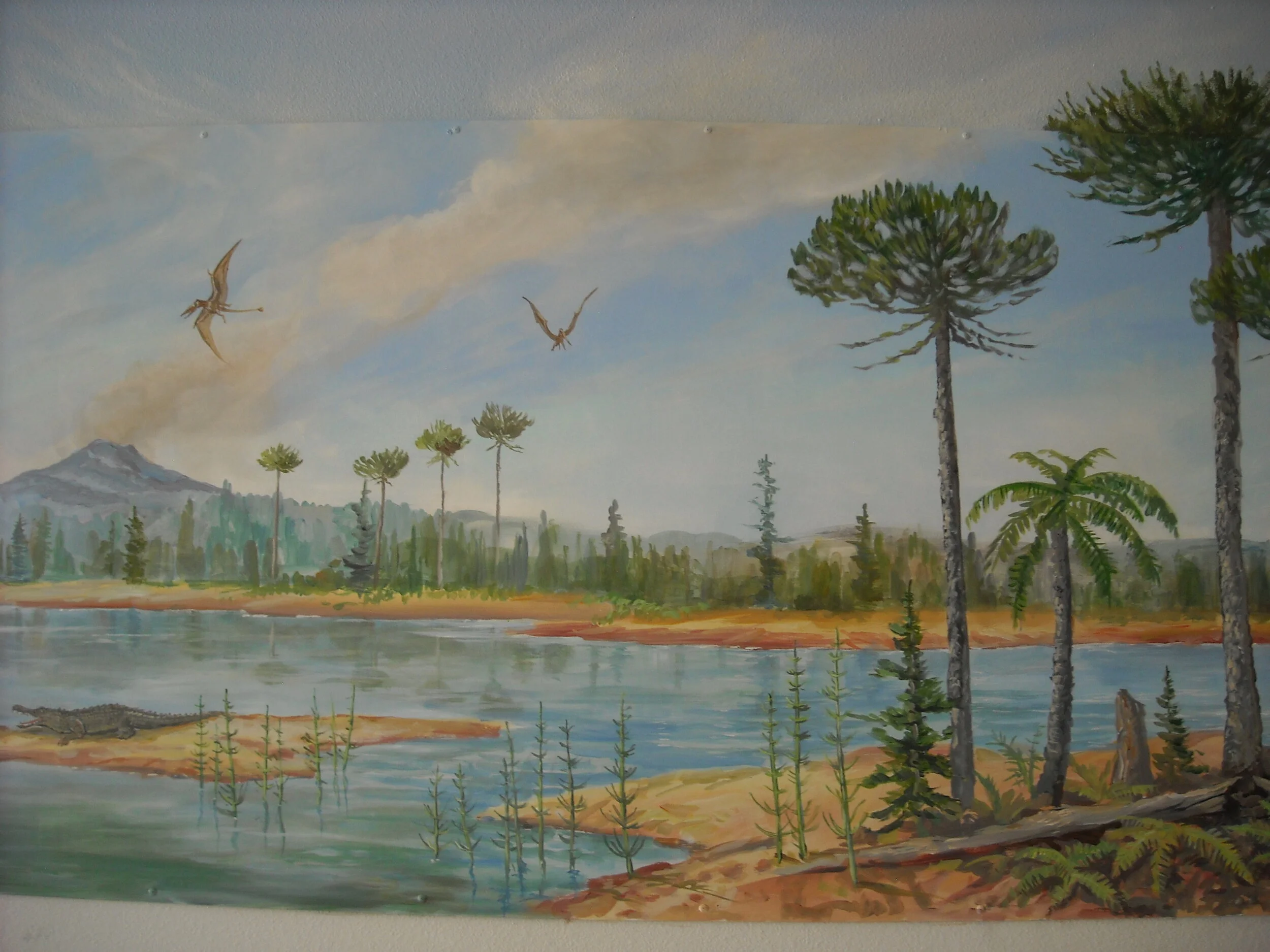Jurassic Background Mural - 
Geoscience Center Greybull, WY - 4' x35' 