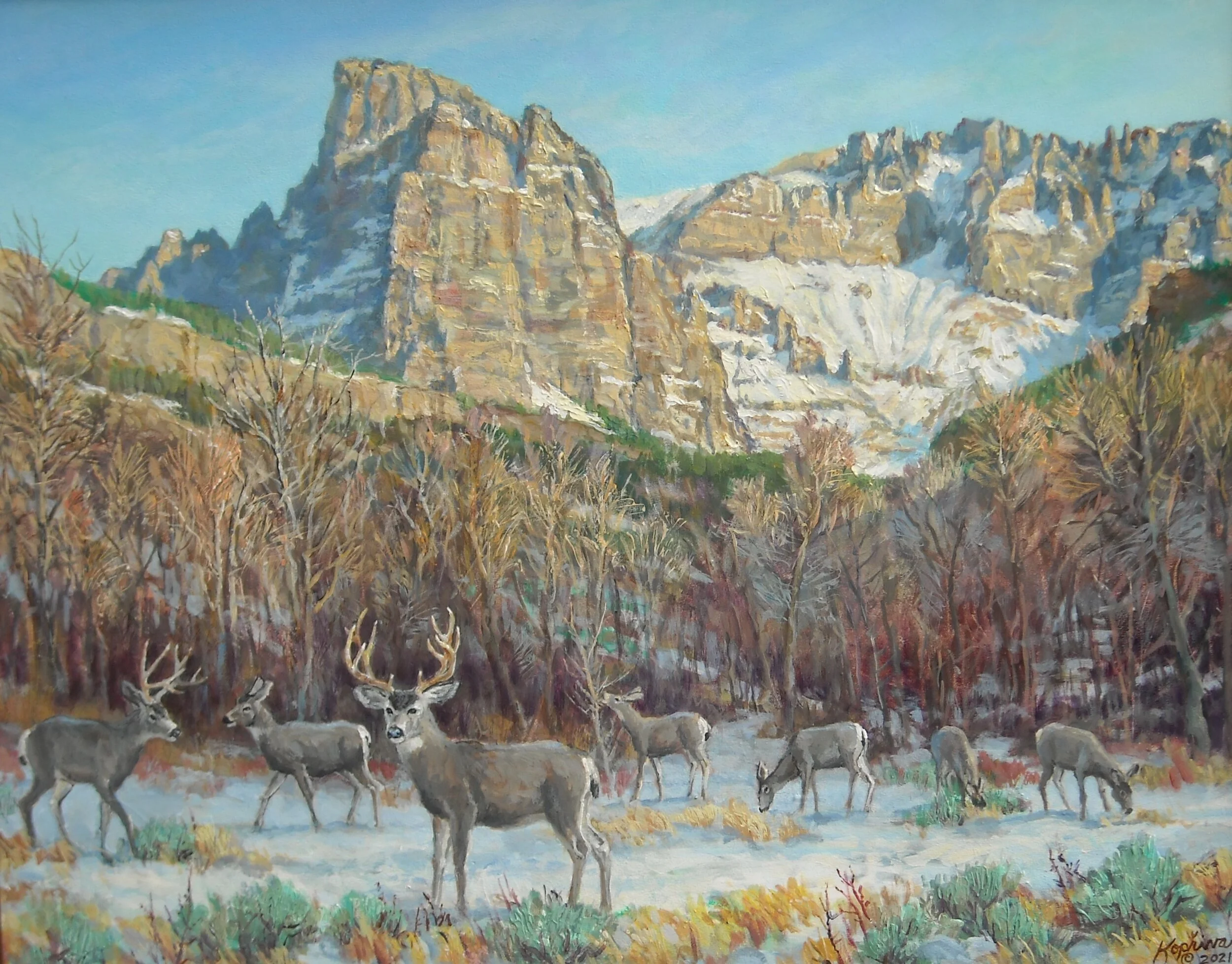 Mule Deer under Carter Mountain 24'x30"