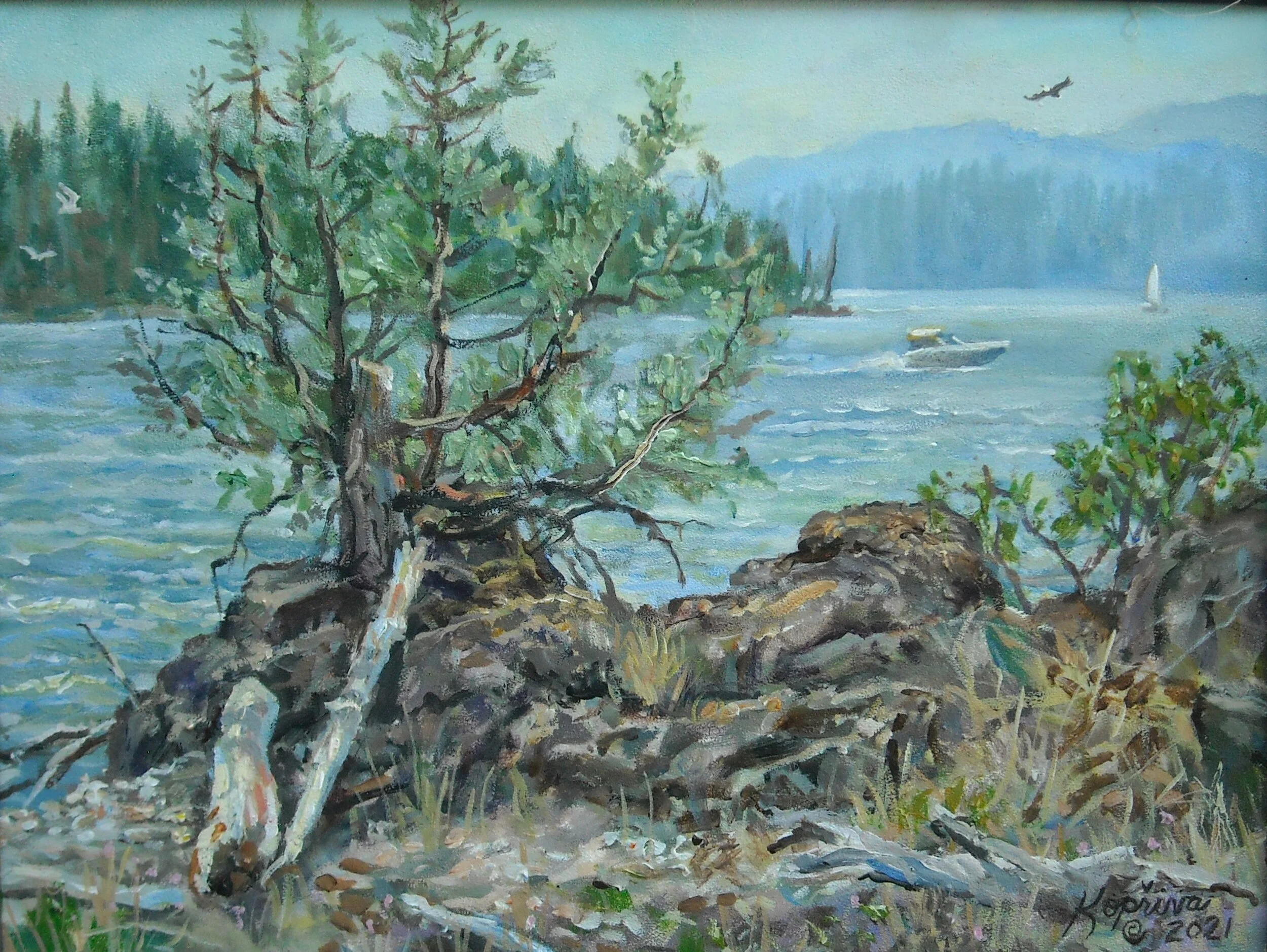 Flathead Lake with Cedar Tree 12"x16"