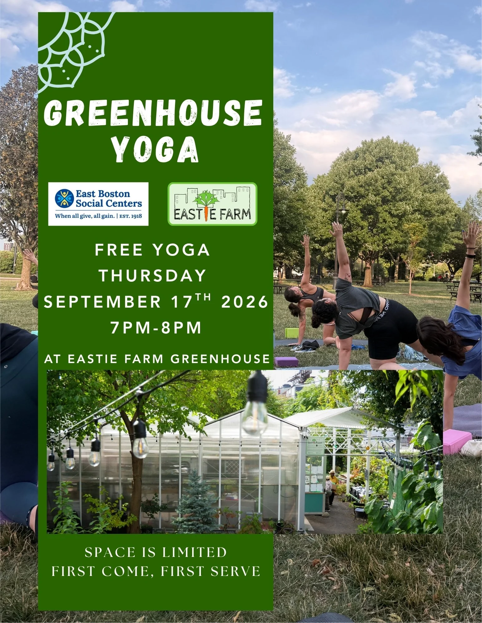 GreenHouse Yoga