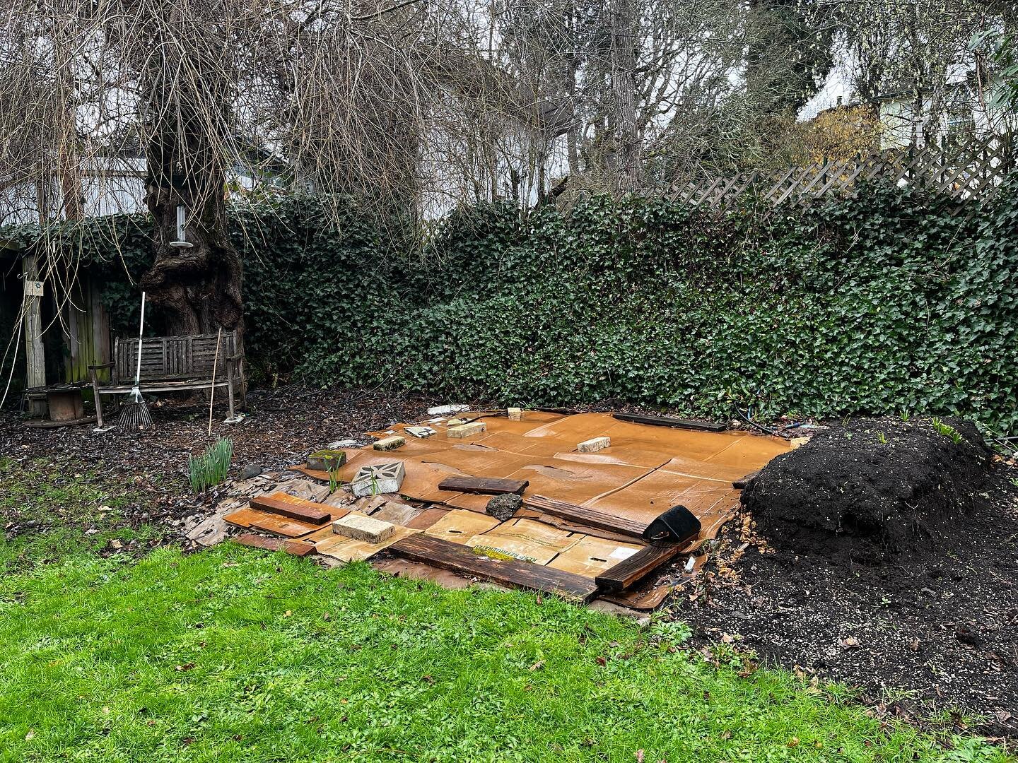 Native plants! Nurse logs! Basalt boulders! River rocks! Native plants!!!! 

An unused corner of the garden is now buzzing with biodiversity. Adding logs and rocks to a landscape increases the habitat value for wildlife. We love to chose rocks that w