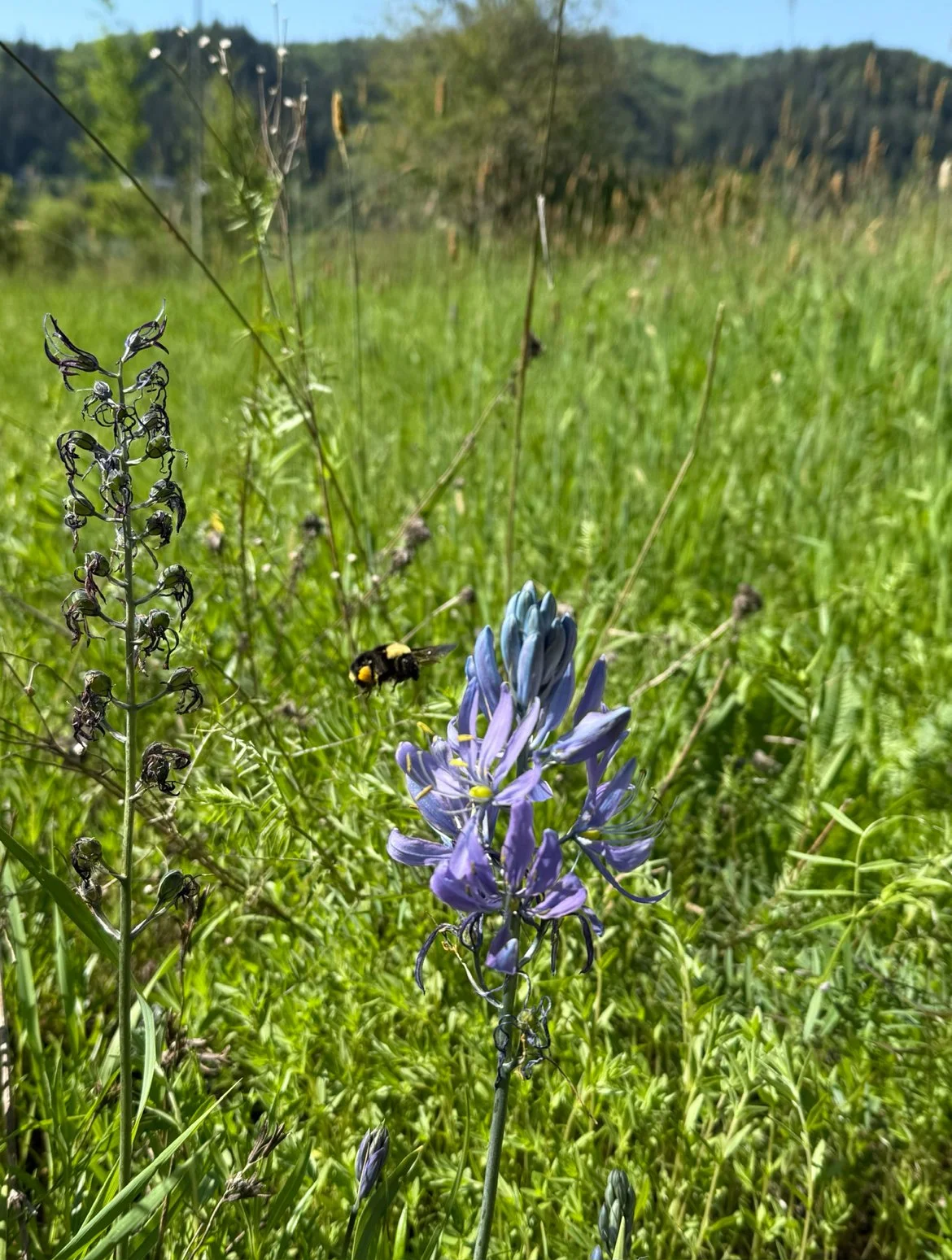 View recent photos 7.jpeg