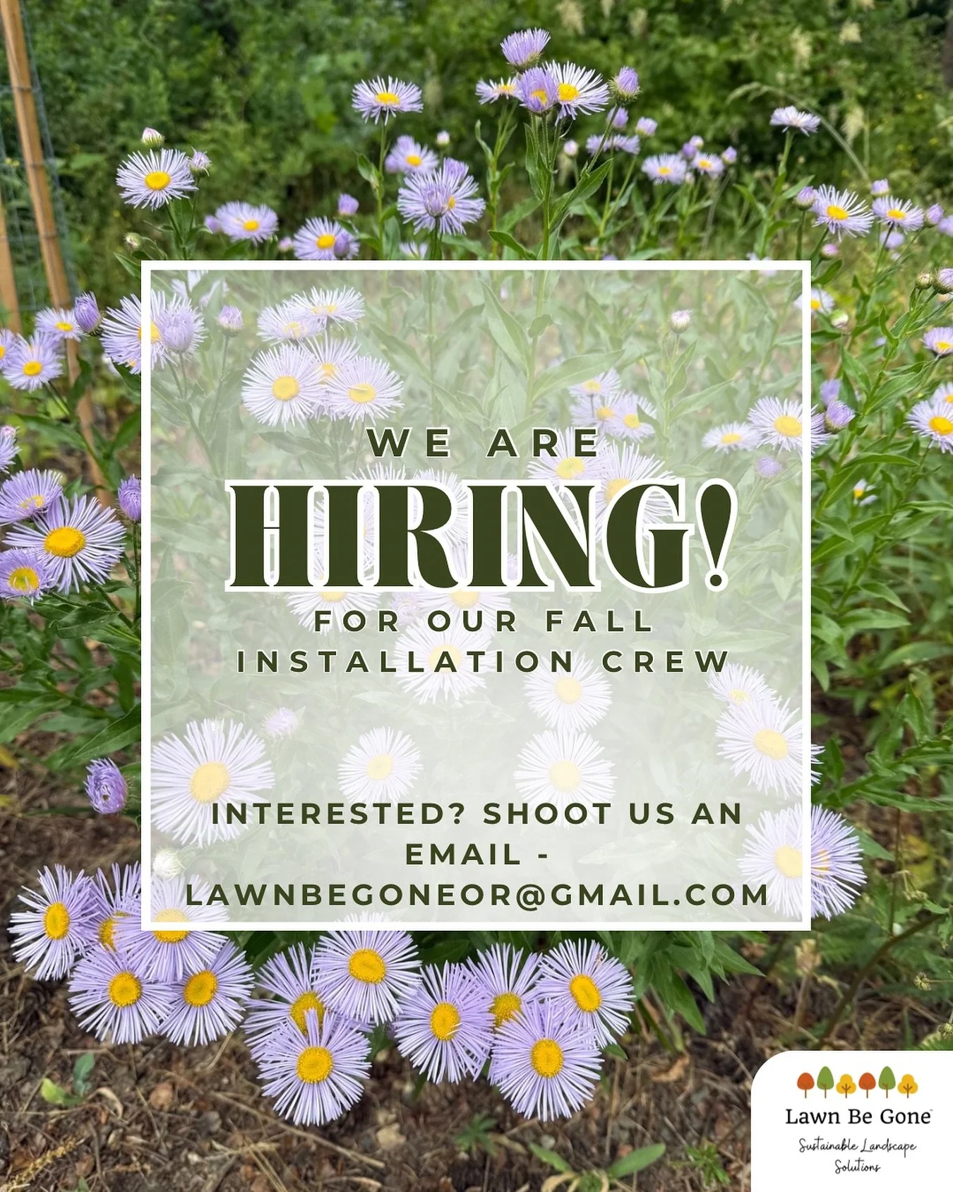 We are seeking excited habitat stewards to join our fall installation crew! 🌻🌲If you want to work outside, learn new skills and have a positive impact, shoot us an email at lawnbegoneor@gmail.com! Feel free to share with someone who may be interest