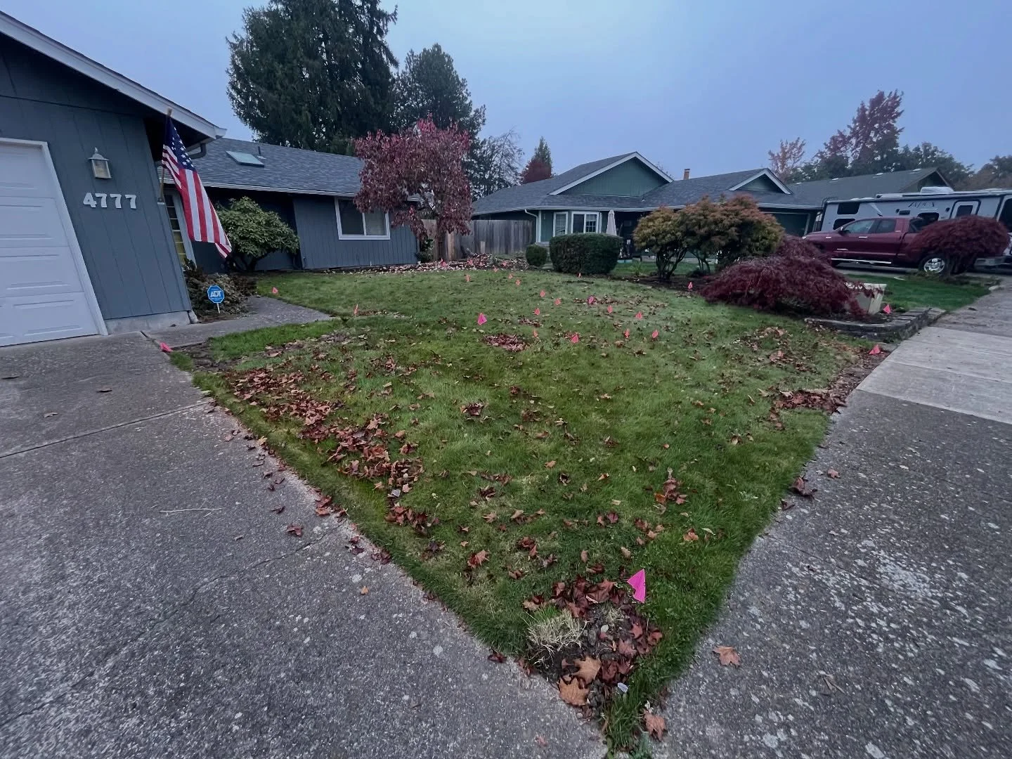 Aaaaaaand another one bites the dust 🌱

Seventh lawn killed, more urban habitat created! It was such a pleasure working for such wonderful people! We are excited to see this one grow and create a lush space for birds + pollinators alike! 

#lawnbego