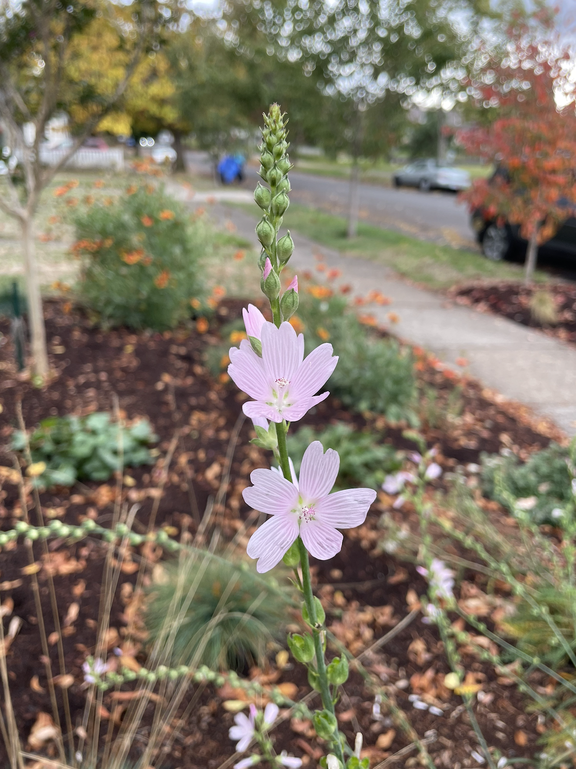 Screenshot 2026-01-26 at 10.41.40 AM.png