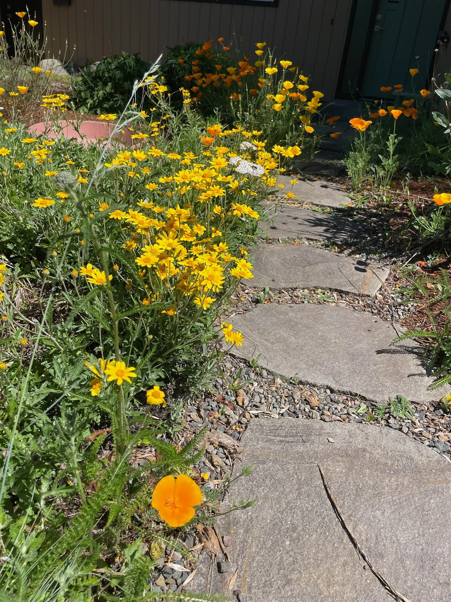 Flagstone Paths. 
