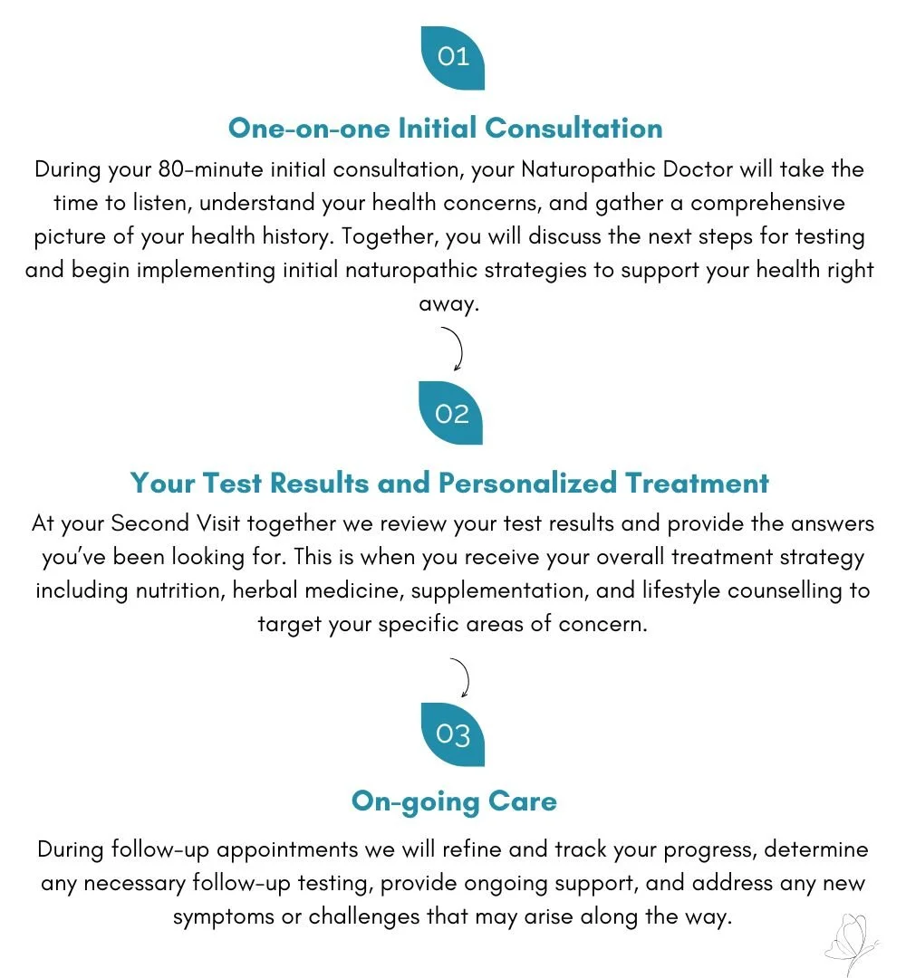 A document outlining the three-step process of naturopathic care: 1. Initial consultation, 2. Test results and personalized treatment, 3. Ongoing care, with descriptions of each step.