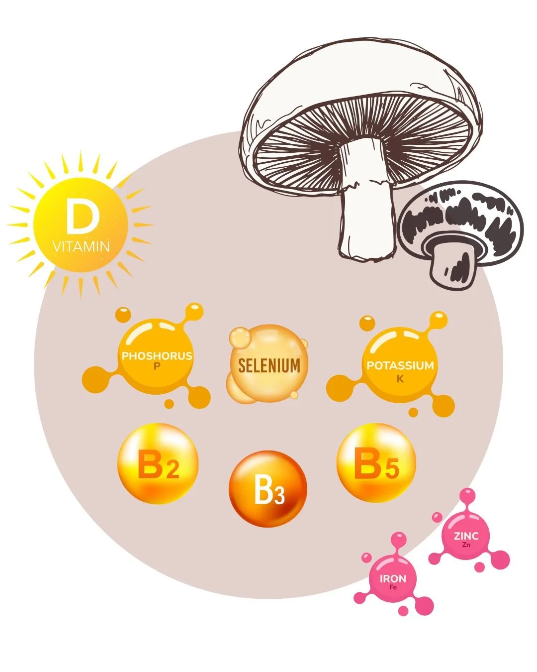 Nutrients found in mushrooms