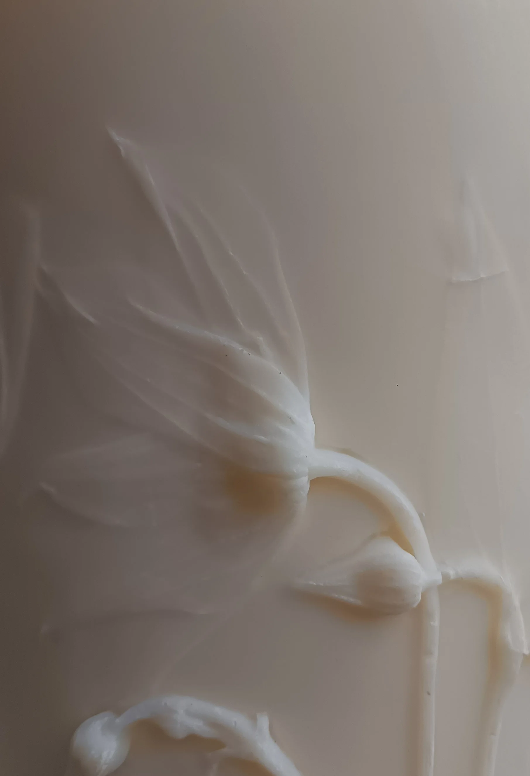 ForCorrinaDetail1.jpg