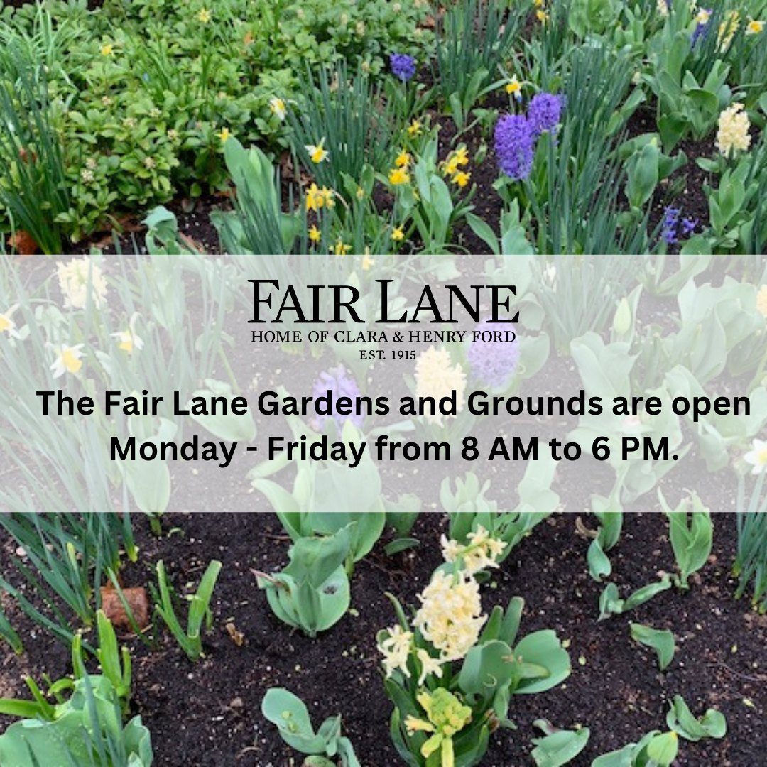 As a reminder, the Fair Lane Gardens and Grounds are open Monday - Friday from 8 AM to 6 PM. This time of year, you'll be able to see beautiful Michigan spring flowers all over the grounds.

Feel free to share your findings with us in the comments!

