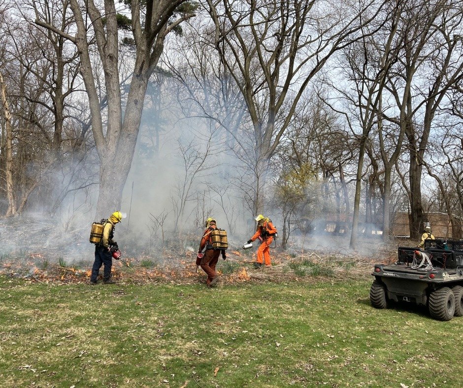 The team at David Borneman, LLC recently conducted a prescribed burn at Fair Lane. The goal was to naturalize one garden bed to see if an early spring burn would benefit the native plant community. 

Why did Fair Lane conduct a prescribed burn? Today