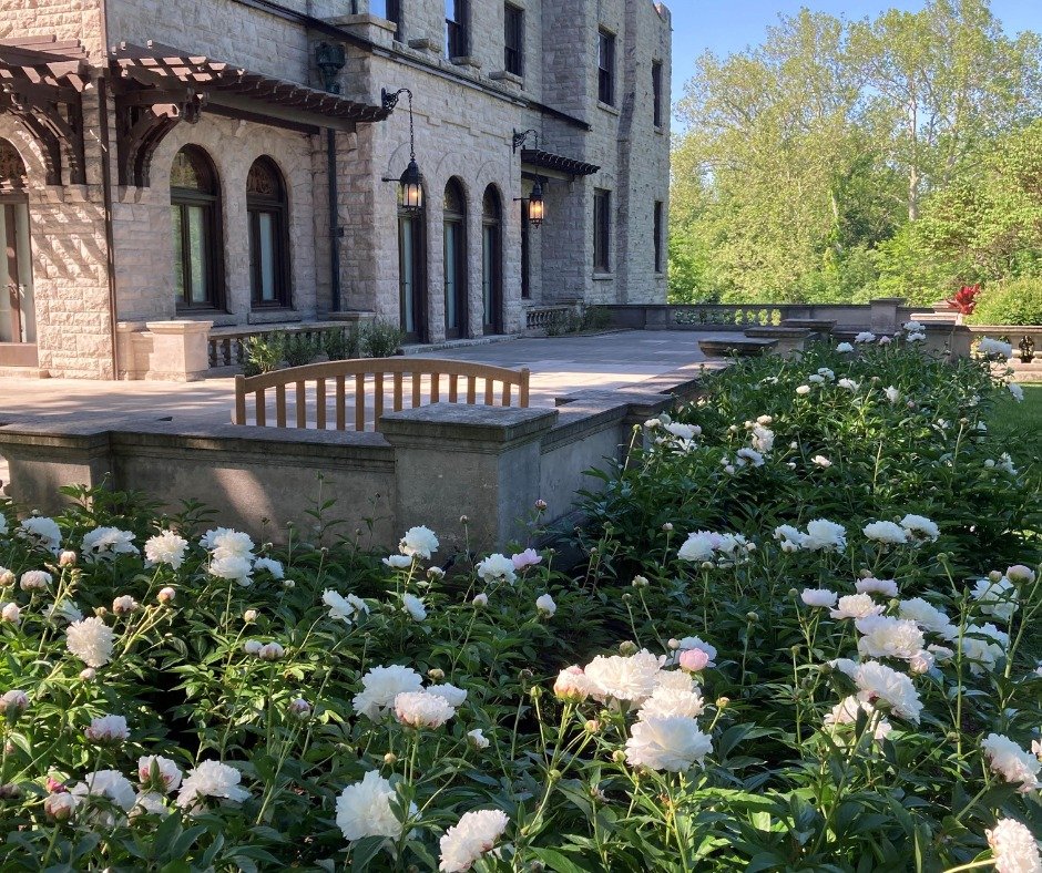 Are you looking for plans for the long weekend? The peonies at #FairLane will be looking gorgeous. Come on out and take a walk to enjoy their beauty.

The #FairLaneGardensAndGrounds are open daily from 8 AM to 6 PM.