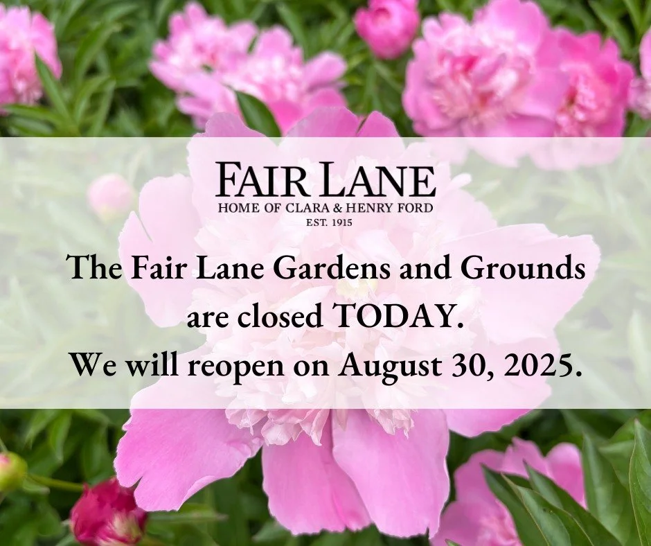REMINDER: The Fair Lane Gardens and Grounds will be closed TODAY for a private event. We will reopen on August 30, 2025.

We appreciate your patience and understanding! 

#FairLaneGardensAndGrounds #FairLane #Dearborn