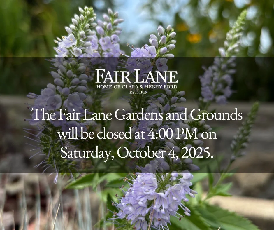 The Fair Lane Gardens and Grounds will be closing at 4:00 PM on Saturday, October 4, 2025.

Thank you for your understanding!

#FairLane #Dearborn