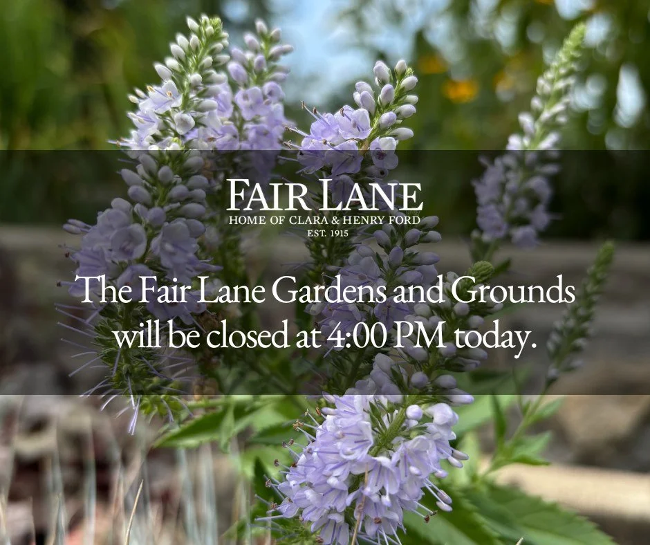 The Fair Lane Gardens and Grounds will be closing TODAY at 4:00 PM.

Thank you for your understanding!

#FairLane #Dearborn