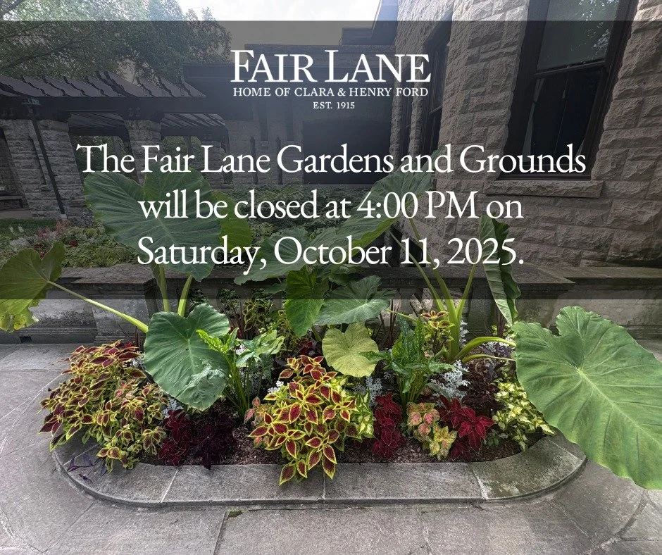 The Fair Lane Gardens and Grounds will be closing at 4 PM on Saturday, October 11, 2025.

Thank you for your understanding!

#FairLane #Dearborn