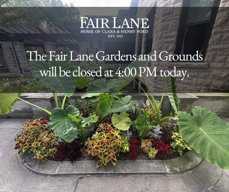 REMINDER: The Fair Lane Gardens and Grounds will be closing at 4 PM TODAY.

Thank you for your understanding!

#FairLane #Dearborn