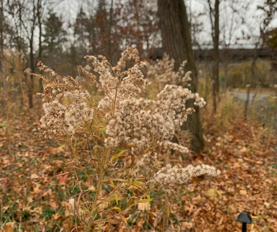 Do you know where today's #WhereIsItWednesday is located?
ㅤ
#FairLane #Dearborn #HistoricHome