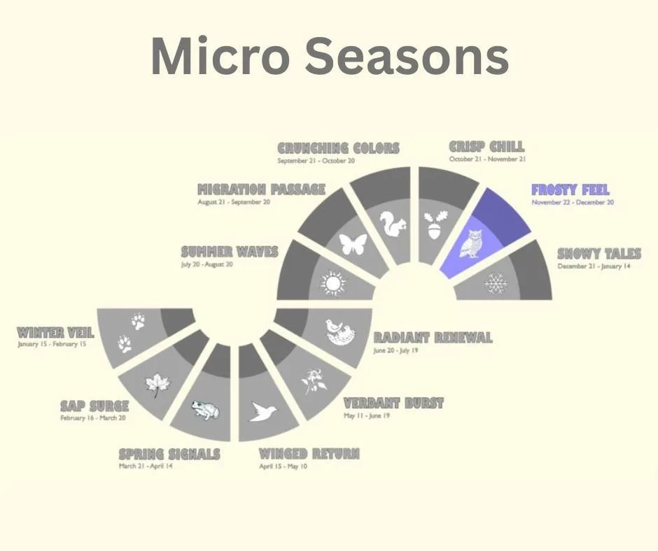 As we head into winter, we'd like to explore micro seasons with our neighbors at @umdearborneic (thanks for the photo, friends!).

We are currently in the frosty feel season. As cold creeps in, animals begin to hibernate, the last dry leaves cling to