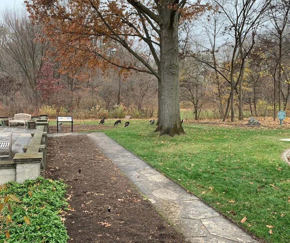 The other week, we had some turkey friends visit us at #FairLane! Where did we spot them?
ㅤ
#WhereIsItWednesday #Dearborn #HistoricHome