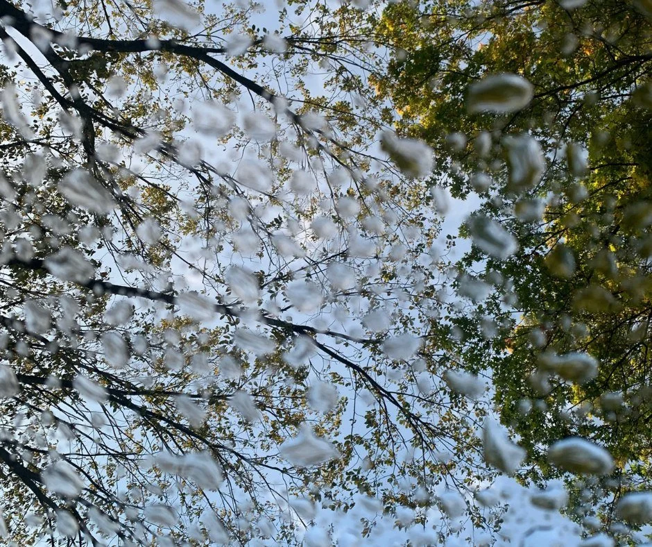 We are starting our 2026 #WhereIsItWednesday on a tricky note. Do you know where or what this might be?
ㅤ
(Hint: It has to do with our 2025 Annual Sweepstakes. Stay tuned for our winner announcement on 1/9/26!)
ㅤ
#FairLane #Dearborn #HistoricHome