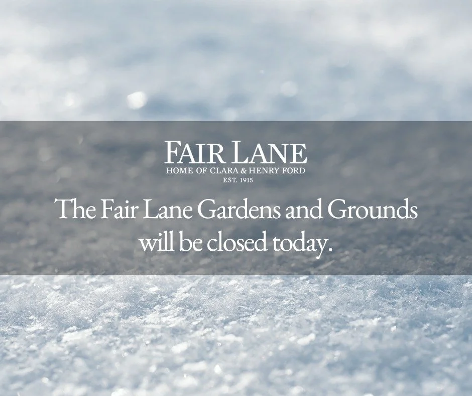 Friendly reminder: Due to the weather and cold temperatures, the Fair Lane Gardens and Grounds will be closed today.
ㅤ
Thank you and stay warm!
ㅤ
#FairLane #Dearborn
