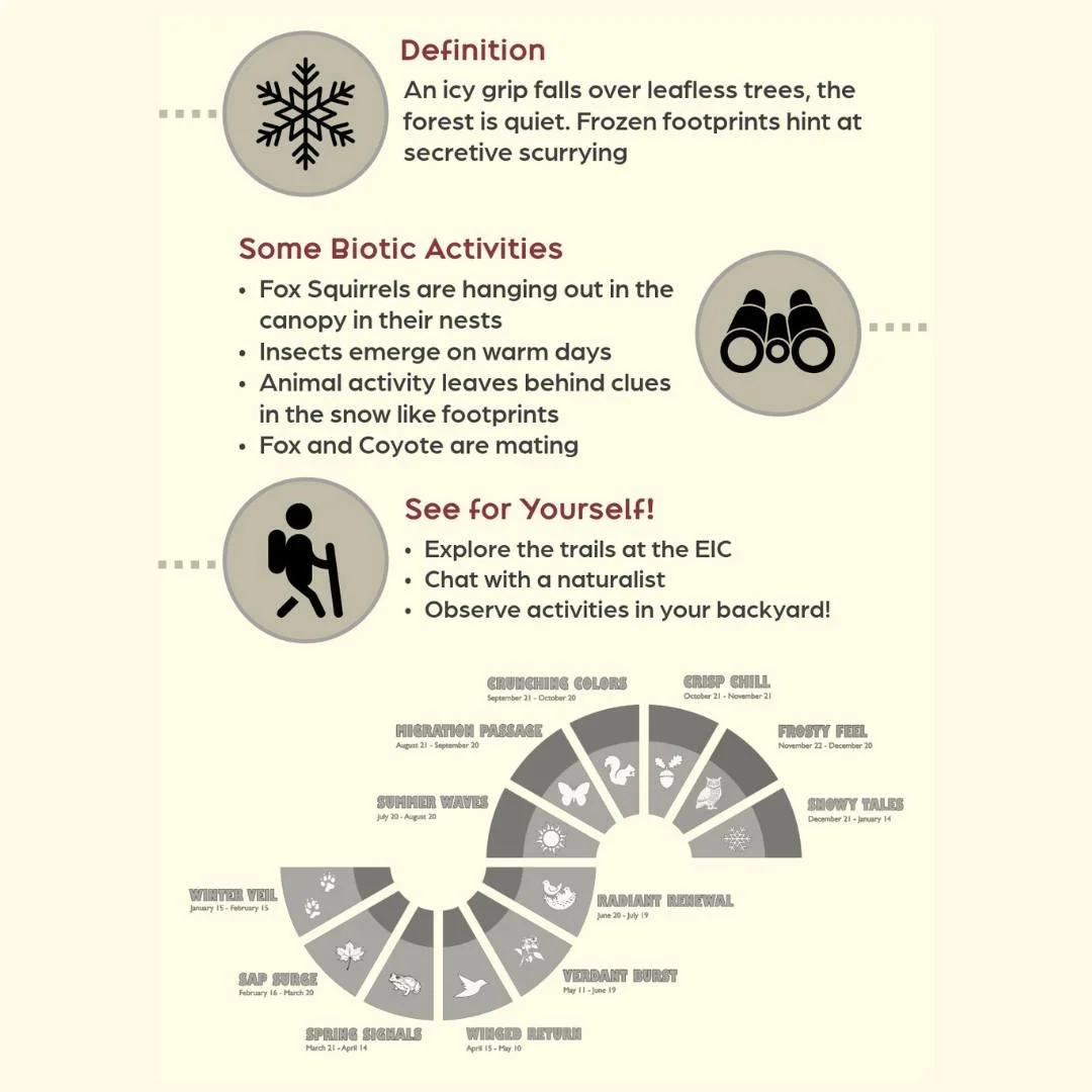 #DYK the period from January 15 - February 15 is called Winter Veil?
ㅤ
This microseason is met with ice, quiet, and frozen findings. We want to thank our neighbors at @umdearbornEIC for sharing this graphic and always teaching us about nature and wil