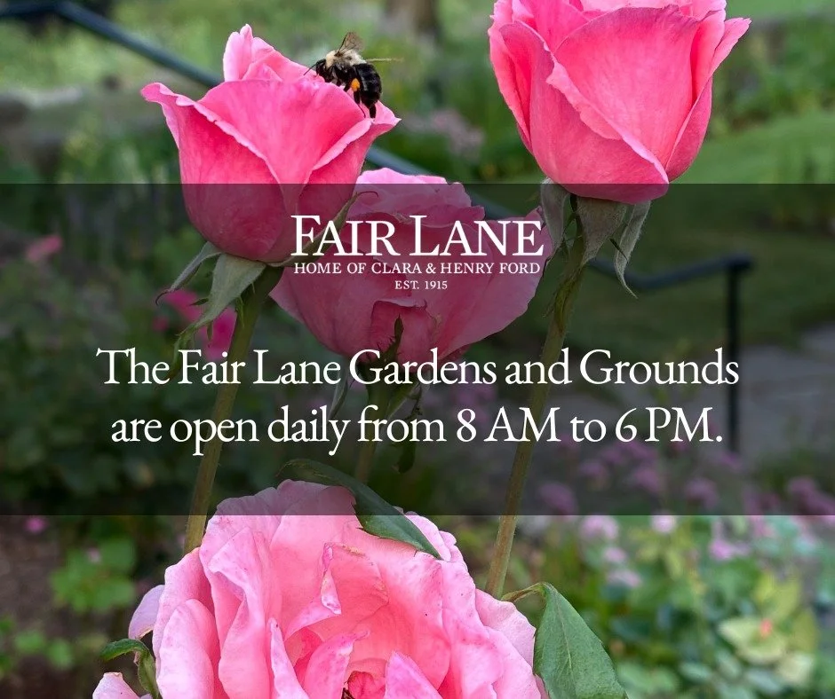 Today is #NationalWalkingDay, and we encourage you to take a walk around the Estate.
ㅤ
The Fair Lane Gardens and Grounds are open daily from 8 AM to 6 PM.
ㅤ
Happy walking!
ㅤ
#FairLane #Dearborn