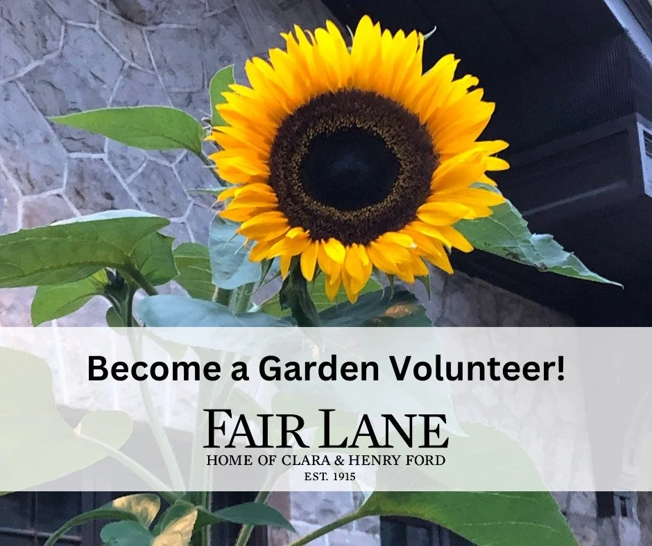 We've been highlighting our volunteers all month, and you can become one!
ㅤ
Help with the restoration efforts at #FairLane, and become a garden volunteer: https://vist.ly/4ziz5.
ㅤ
#Dearborn #HistoricHome