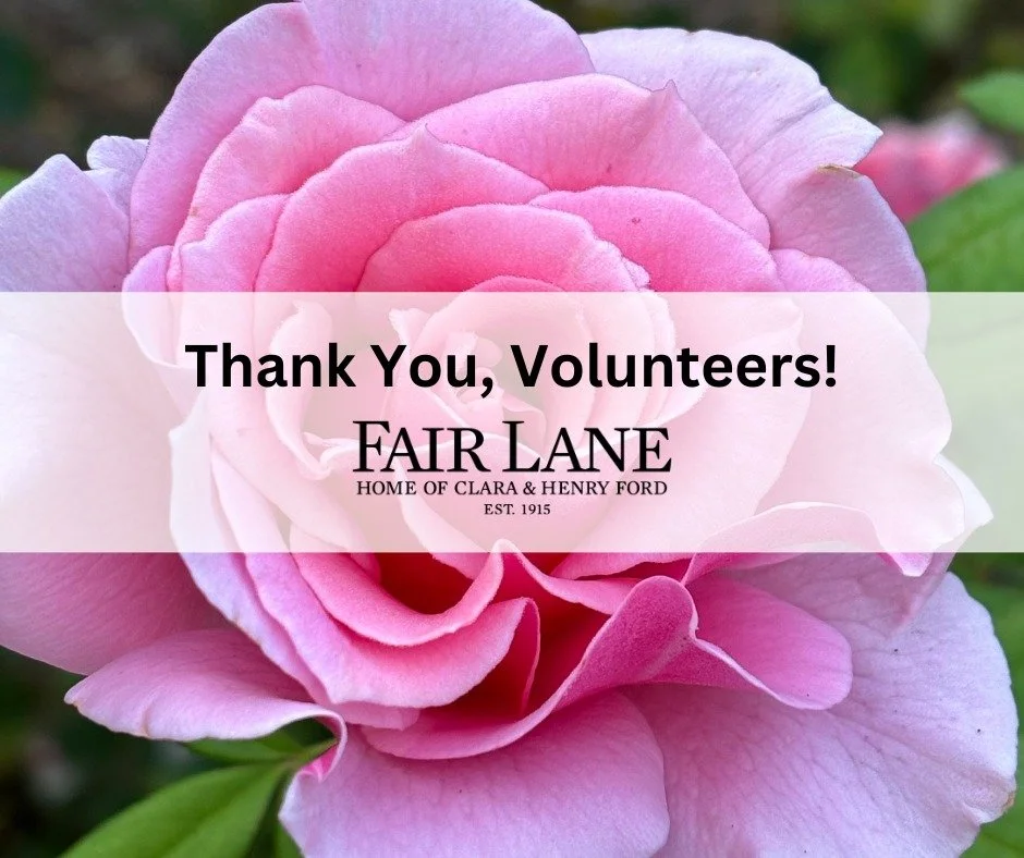 As #NationalVolunteerWeek comes to a close, we want to thank the volunteer groups, garden clubs, and community members who are Fair Lane advocates. Our gardens and grounds wouldn't be as stunning without you. Thank you for your dedication!
ㅤ
#Volunte