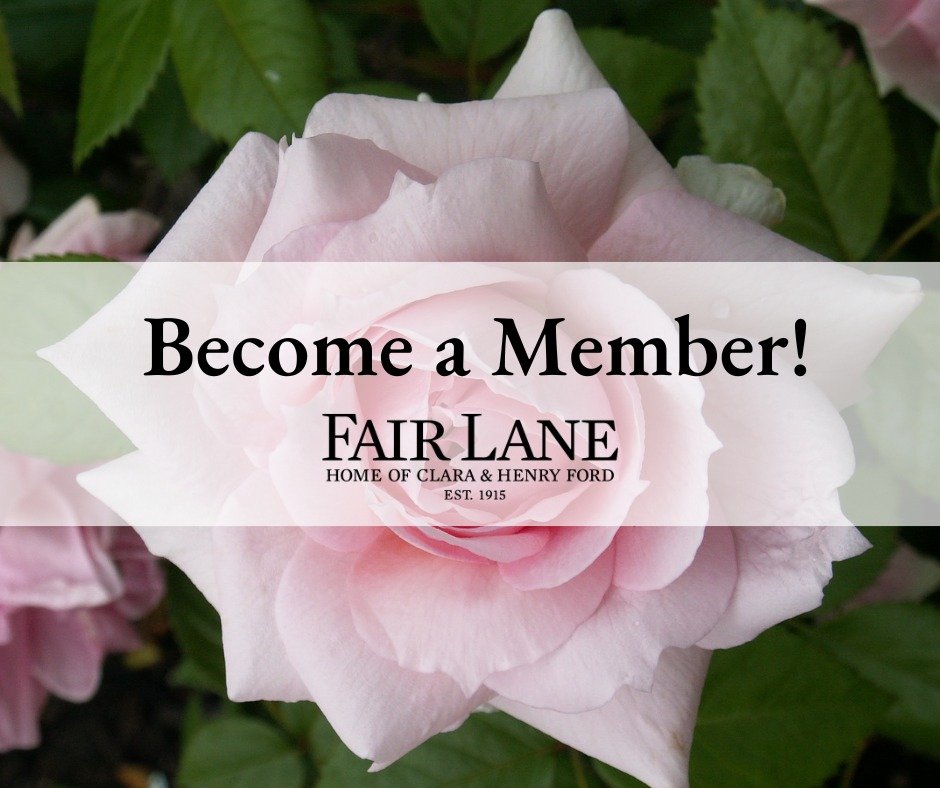 Did you know that becoming a member of Fair Lane means you have access to exclusive member-only events? These intimate moments are a wonderful way to connect with staff and the estate in a private setting.
ㅤ
When you become a member, you&rsquo;re not