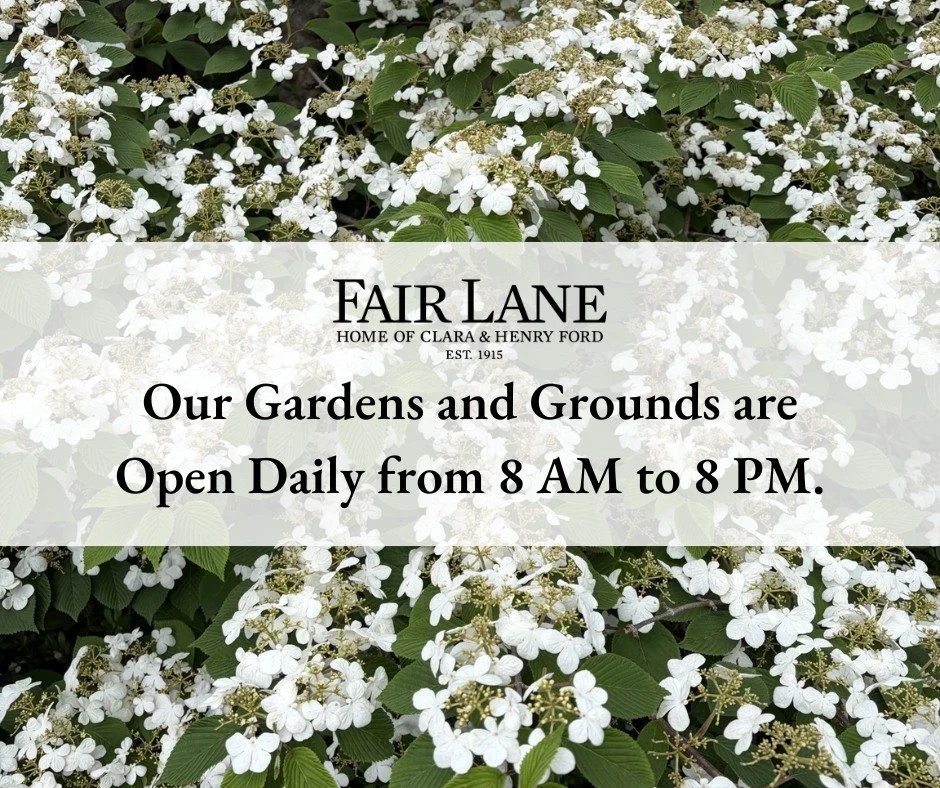 From carefully designed landscapes to vibrant seasonal blooms, the gardens at Fair Lane have long been a place of beauty, inspiration, and connection to nature.
ㅤ
As we celebrate National Garden Week, we invite you to appreciate the role gardens play
