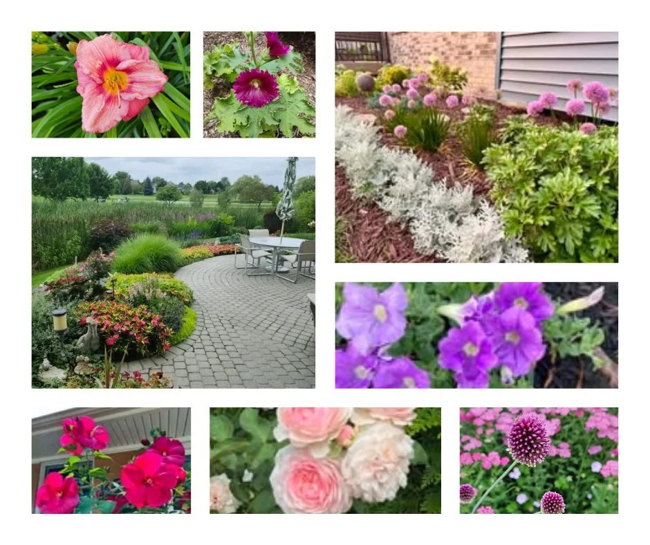 Thank you to everyone who shared your August flowers, plants, and gardens! These lovelies made us smile. 😍
ㅤ
#FairLaneEstate #FlowerFriday #Dearborn