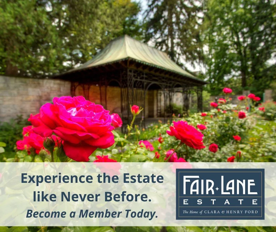From special member-only events and behind-the-scenes experiences to beautiful days in the Gardens &amp; Grounds, membership gives you more ways to connect with this remarkable place.
ㅤ
Experience Fair Lane Estate like never before. Become a member t
