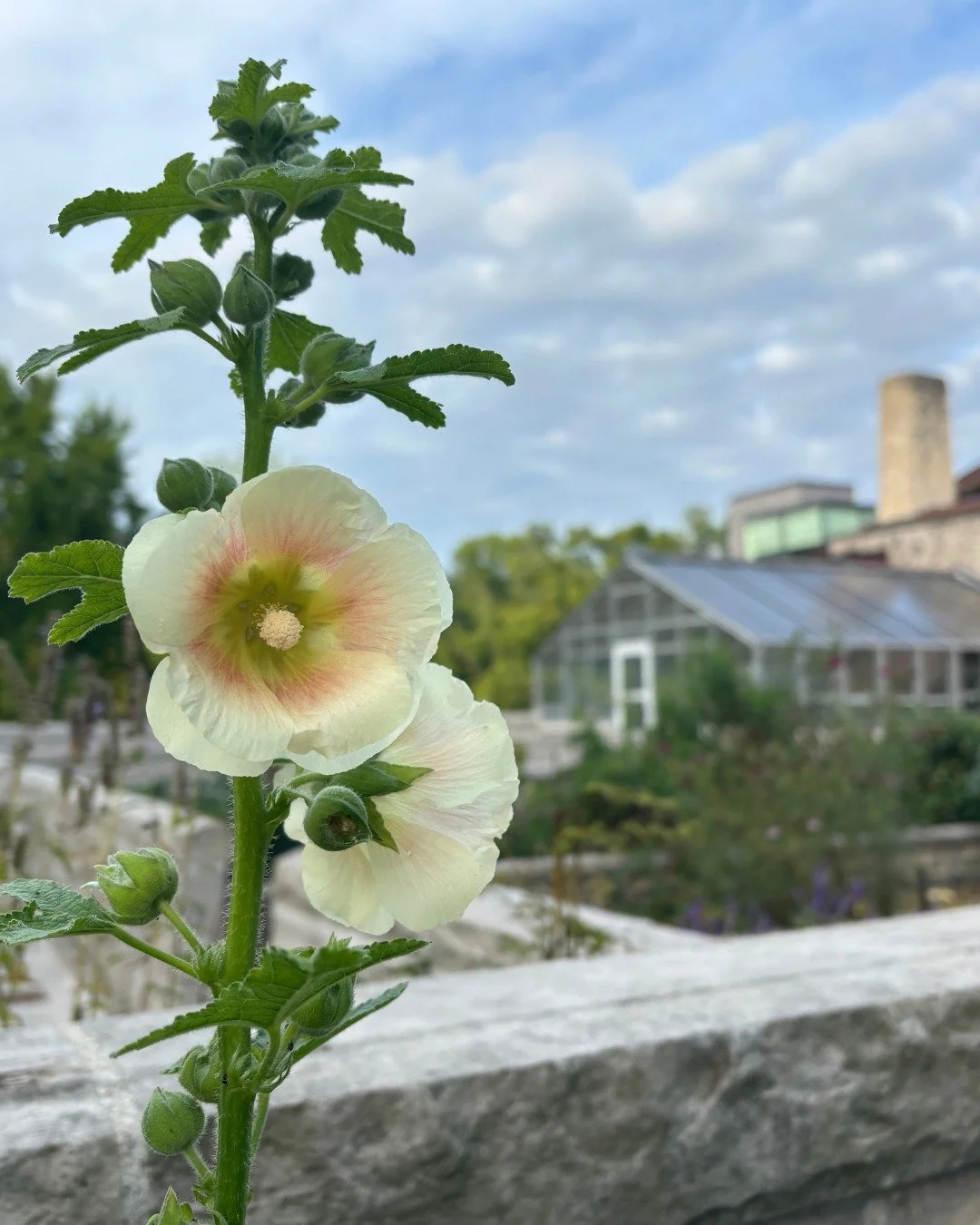 Today, we are out and about, walking our gorgeous Gardens and Grounds.
ㅤ
Can you guess where we are?
ㅤ
#WhereIsItWednesday #FairLaneEstate #Dearborn
