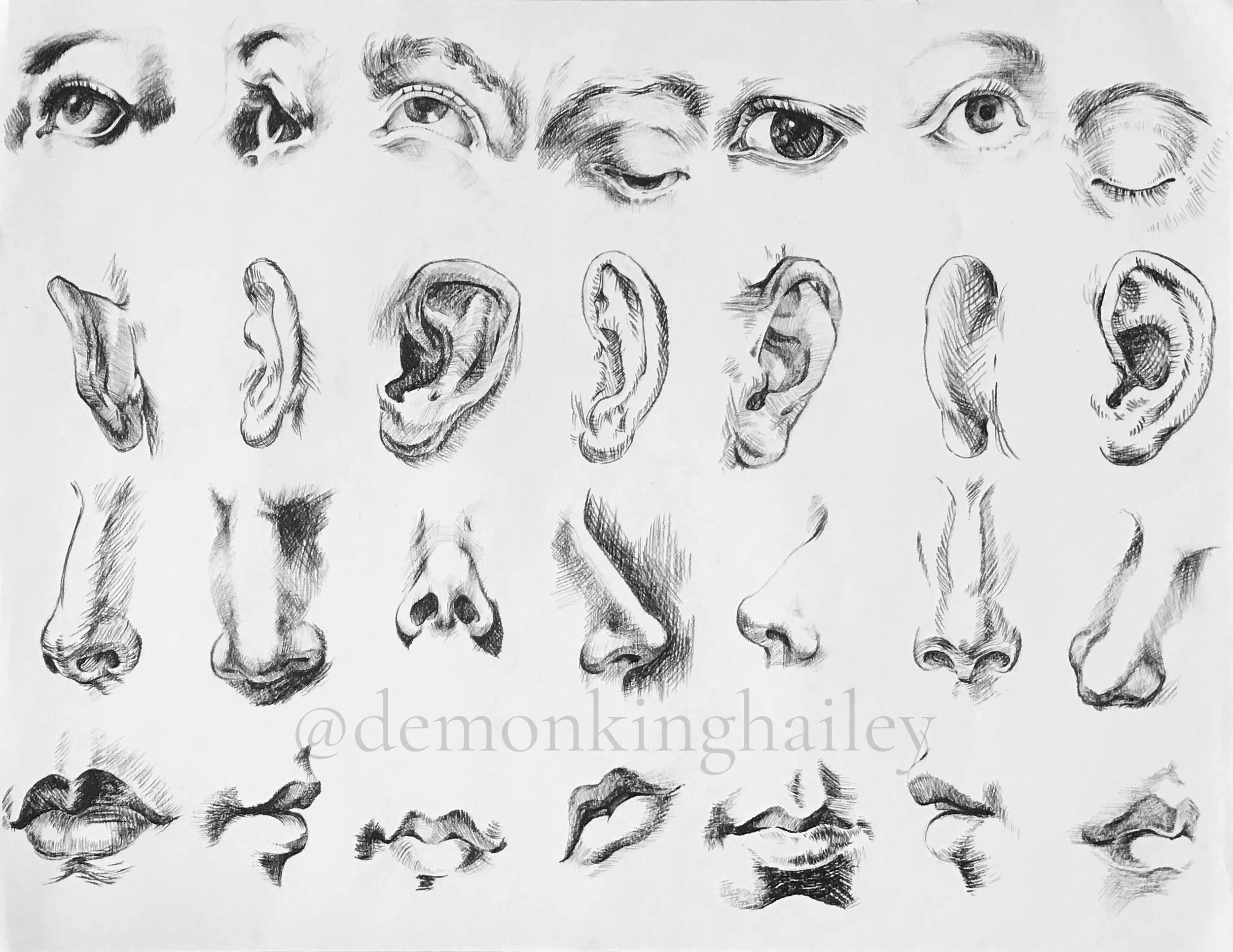 Features of the Face_WM.jpg