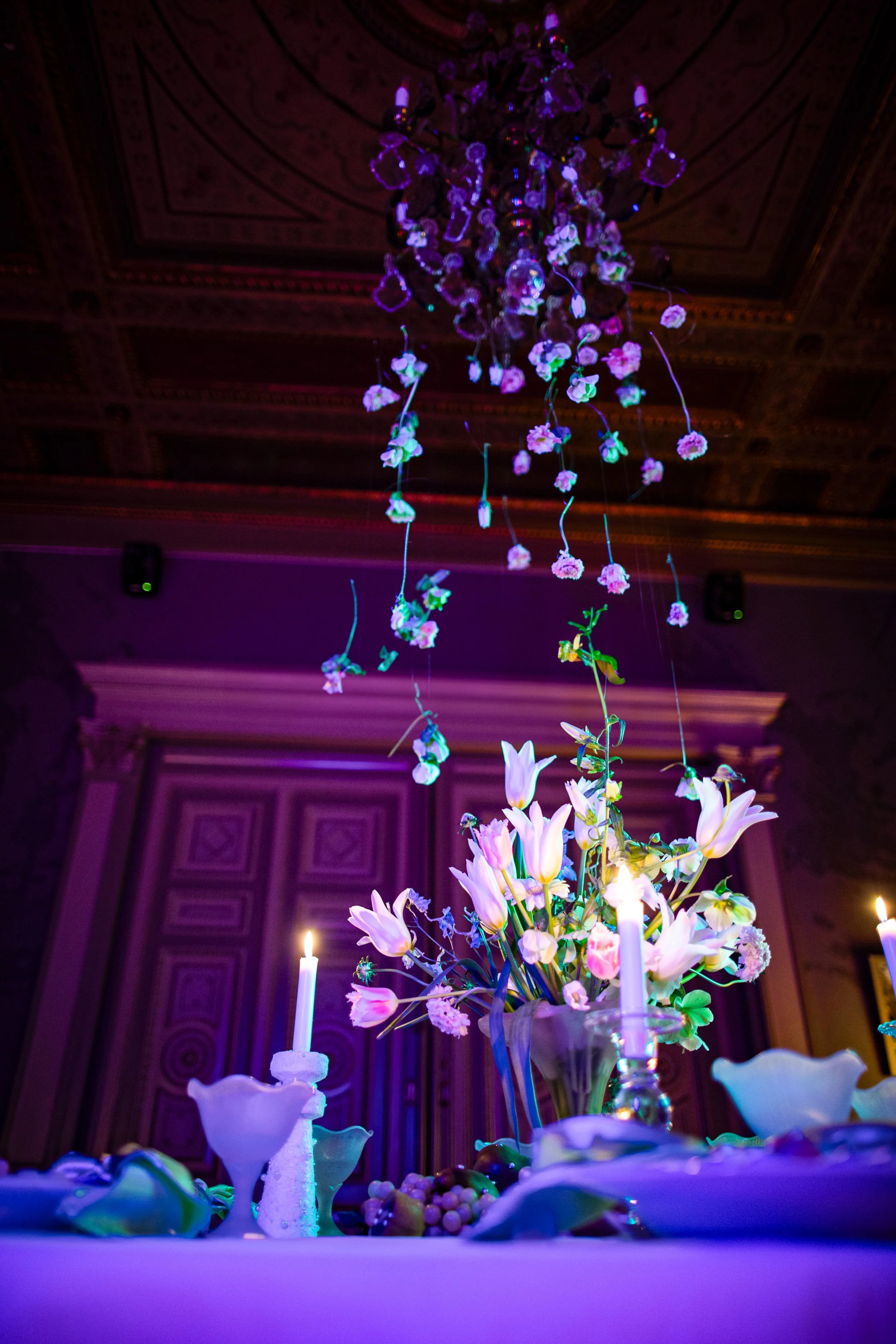1150__73A7528-Edit.jpg