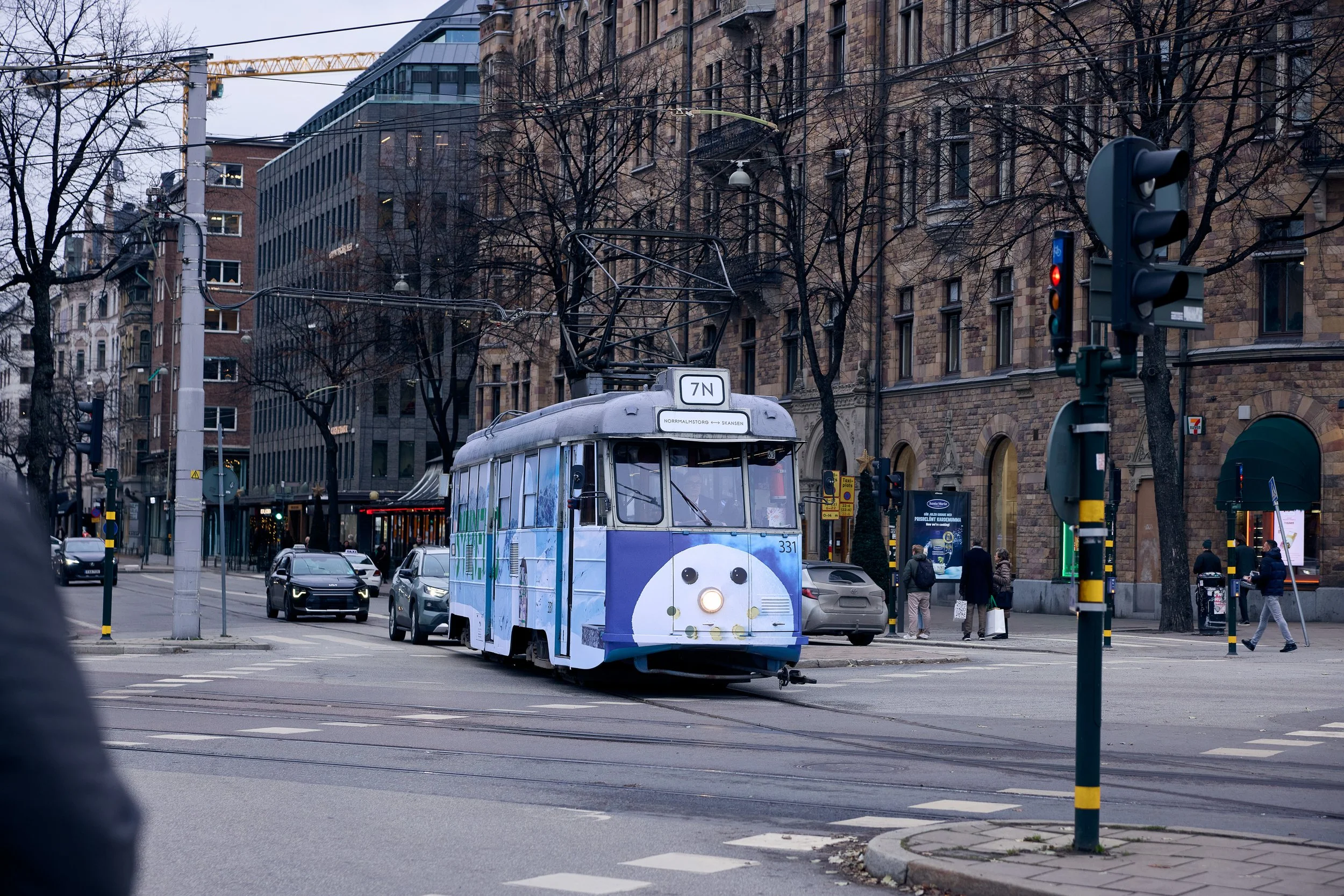 248A9195.jpg