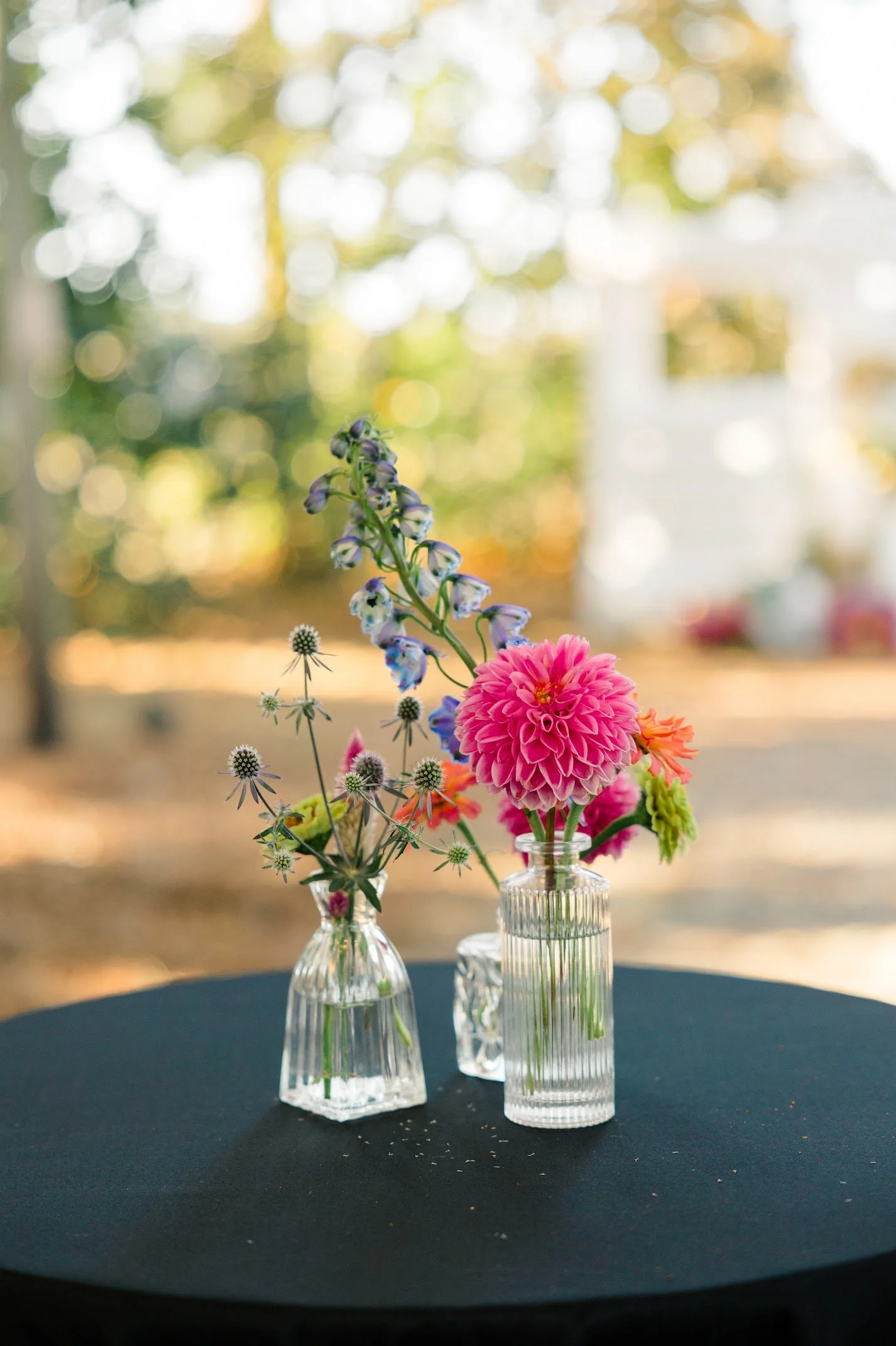 WEDDING-554.jpg