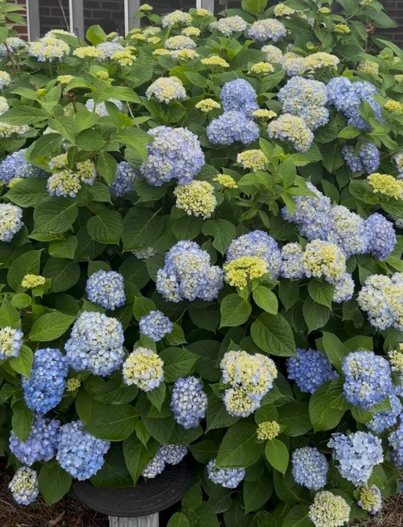 View recent photos.jpeg