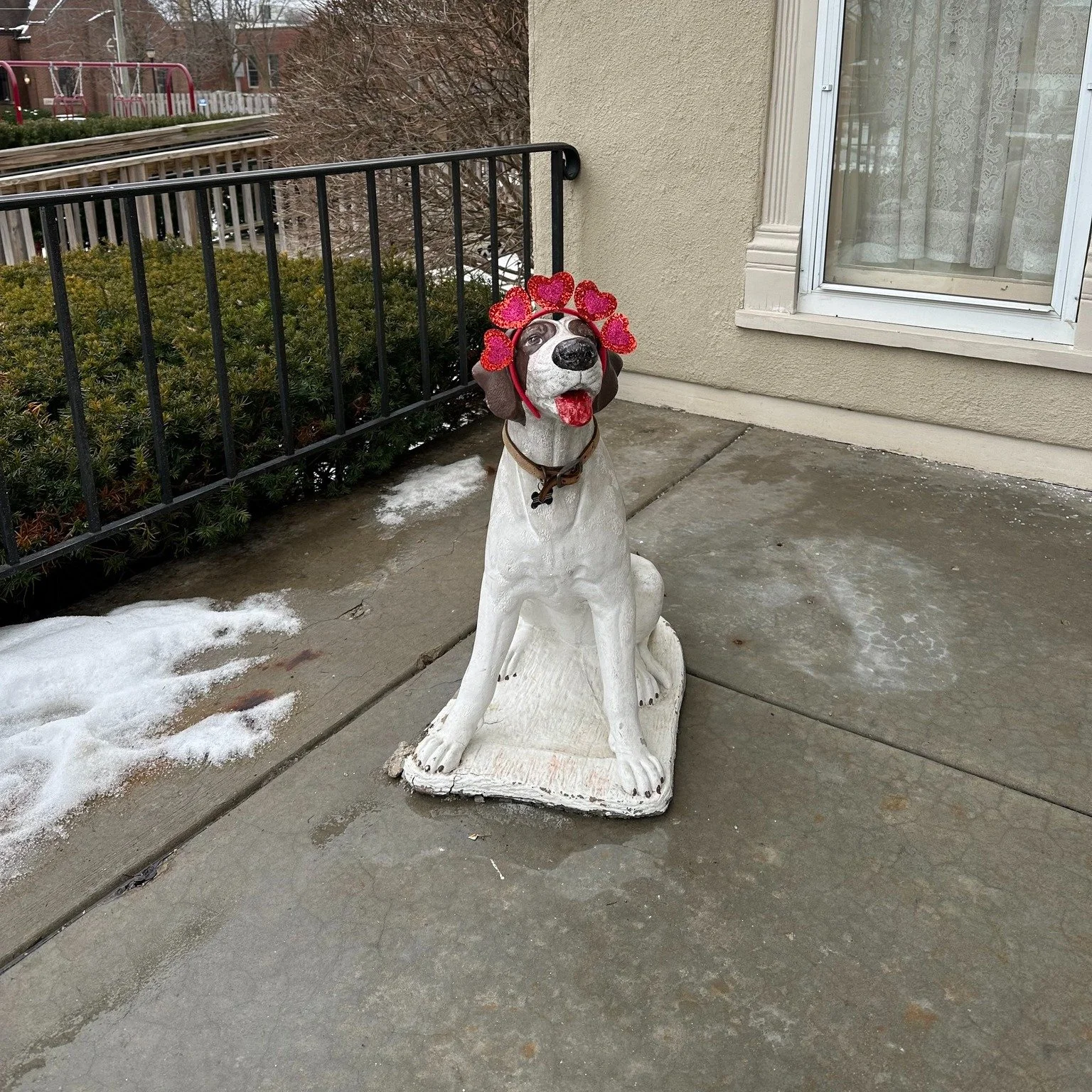 Happy Valentine's Day! Mr. Cook's dog is feeling the love thanks to our mystery dog decorator.😍