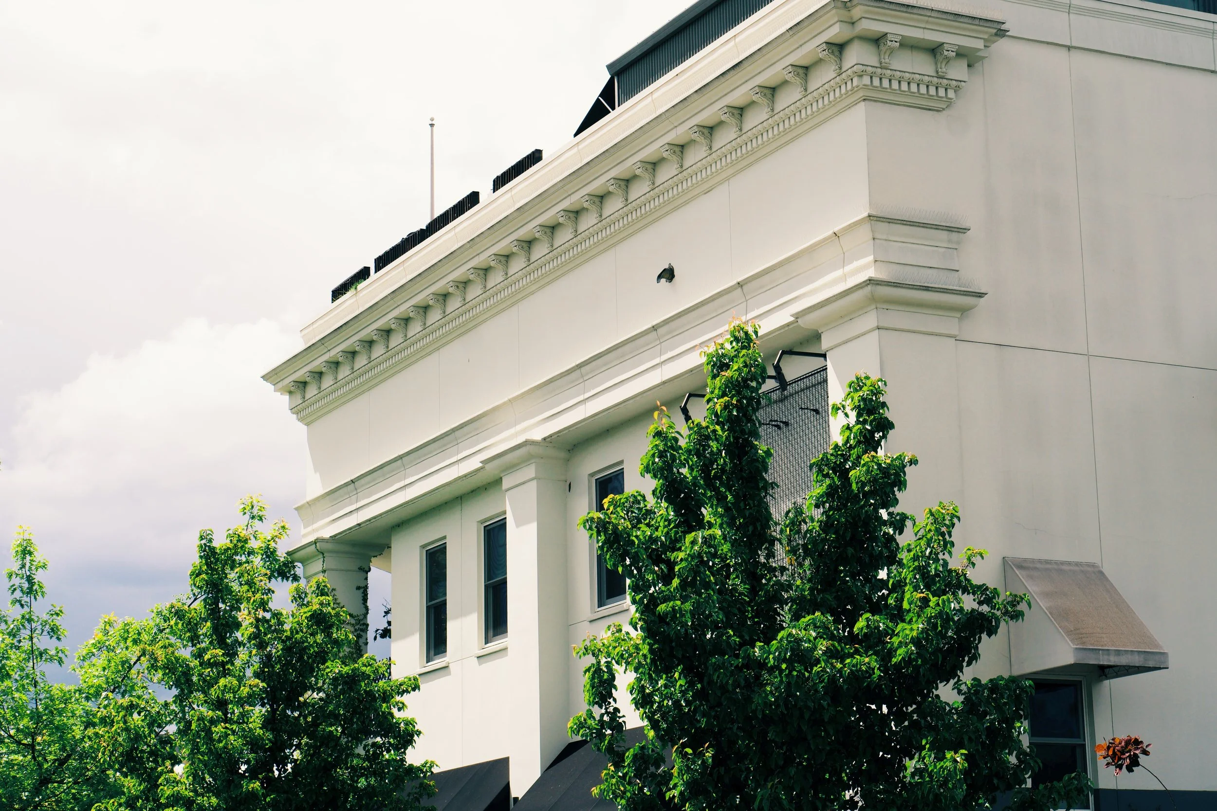 FE6DC9E3-747A-42D0-A72F-69B074202A93 2.JPG