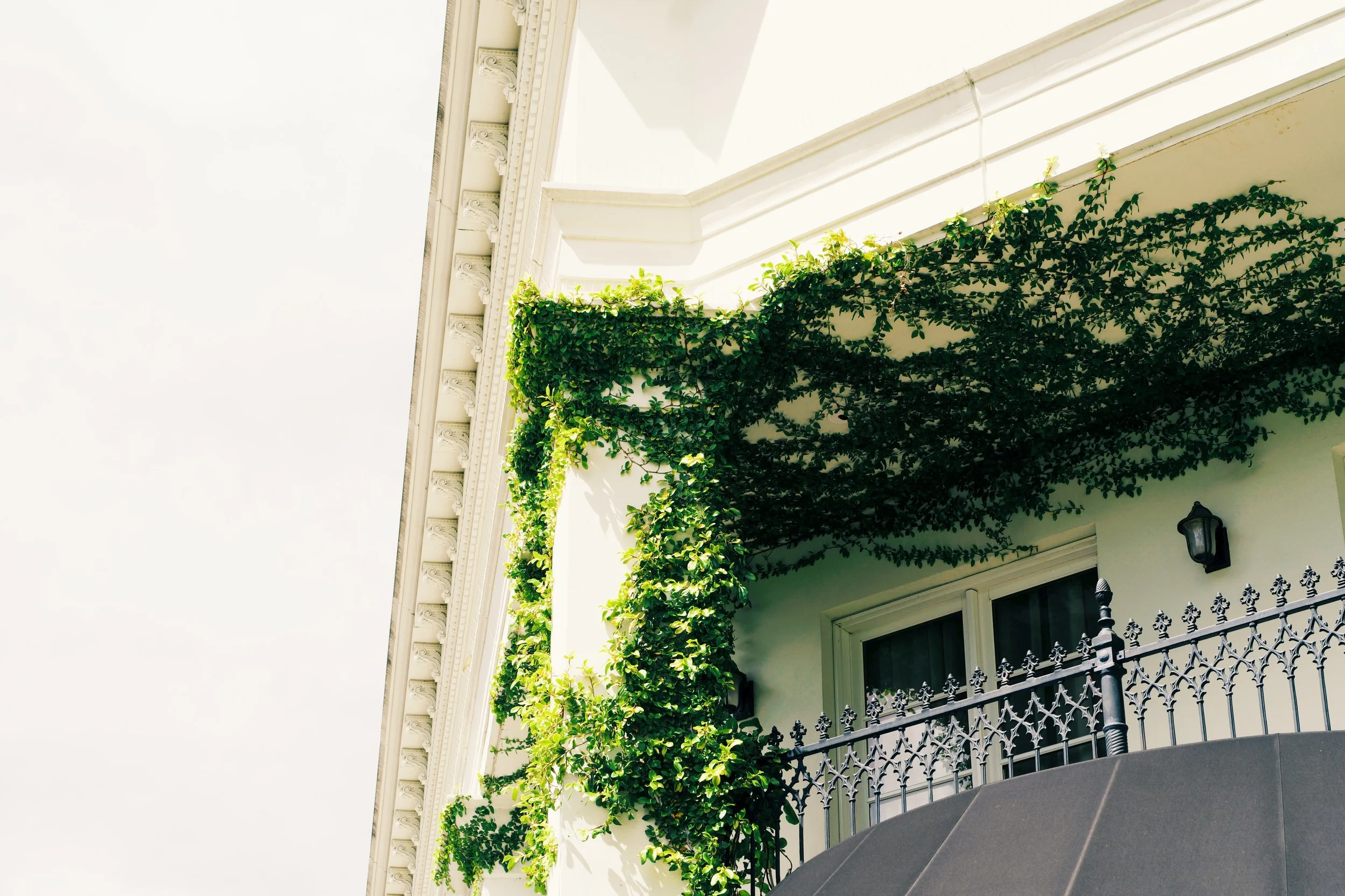 C5FB39C5-92CD-4CF9-AB34-AB385B1004EA 2.JPG