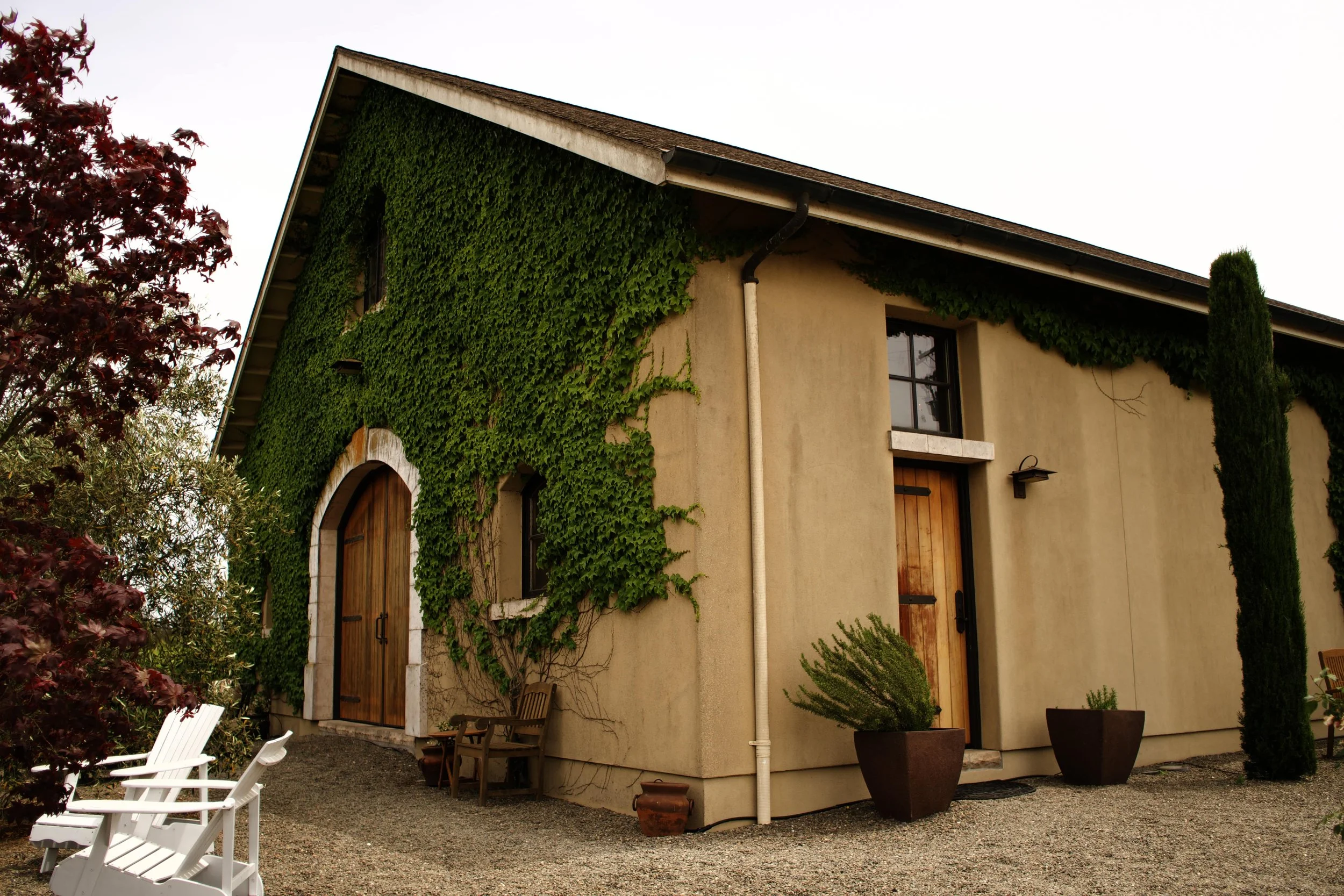 DSC08730-min.jpg