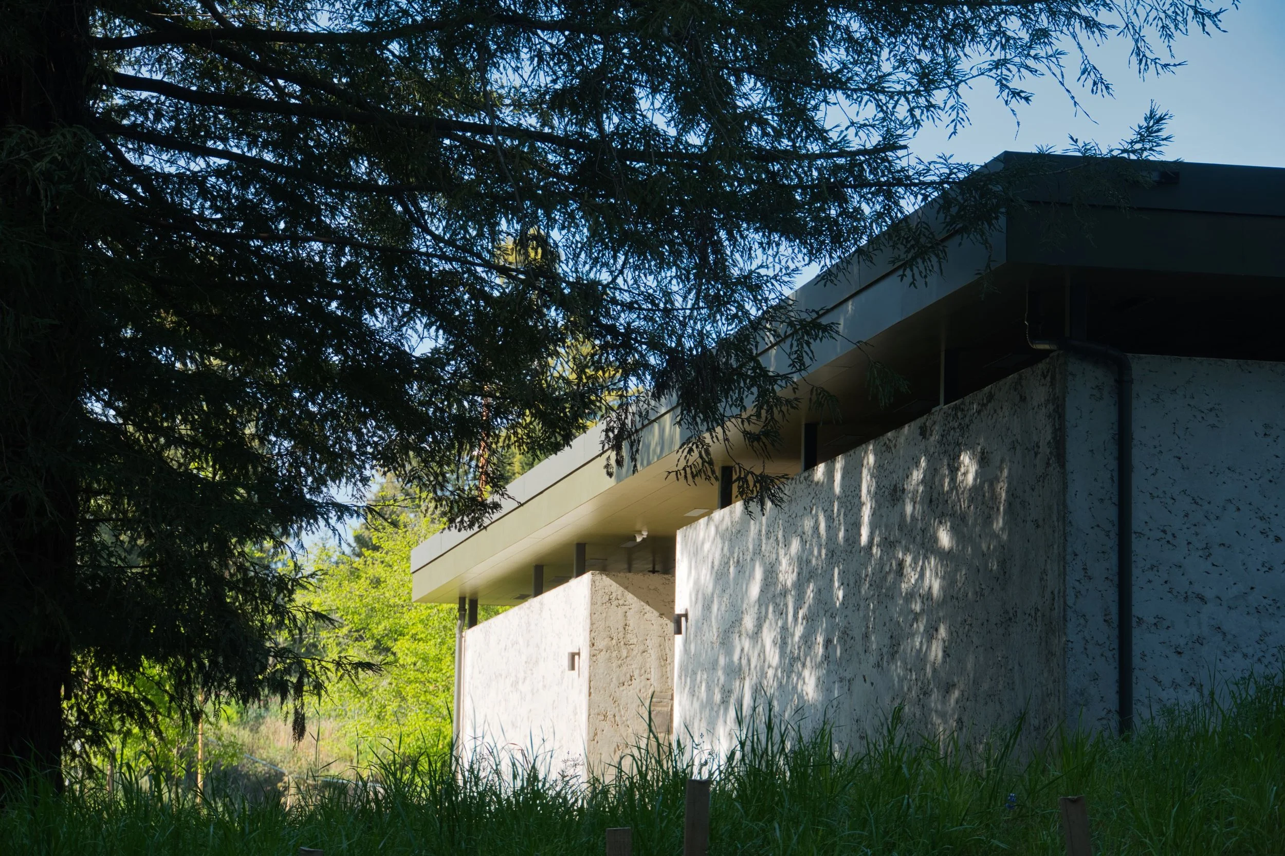 A modern house partially hidden behind trees, with a concrete wall and a ledge, set in a grassy landscape under a bright sky.